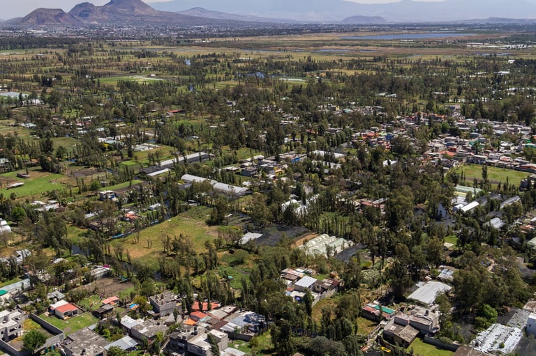 Vista de los canales y campos agrícolas de Xochimilco