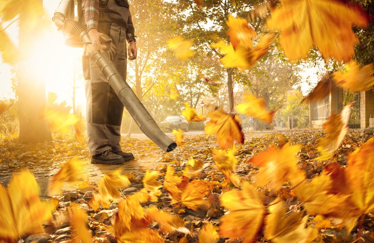 Seasonal leaf cleanup