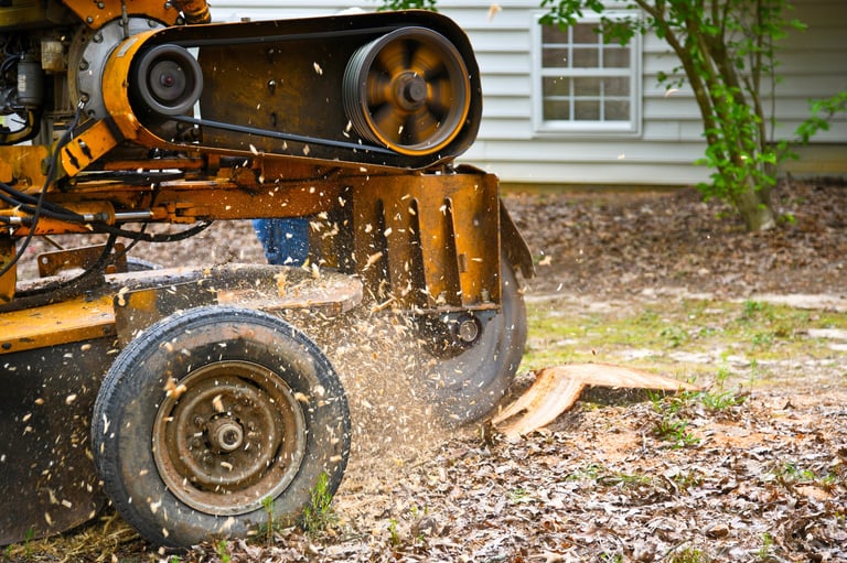 Stump grinding machine removing a stump from cut down tree