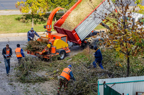 Yard Waste Removal