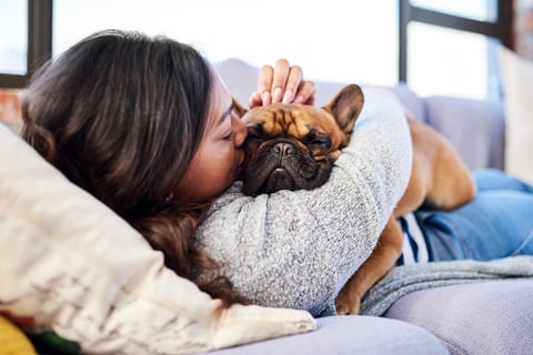 Woman kissing her golden retriever at home