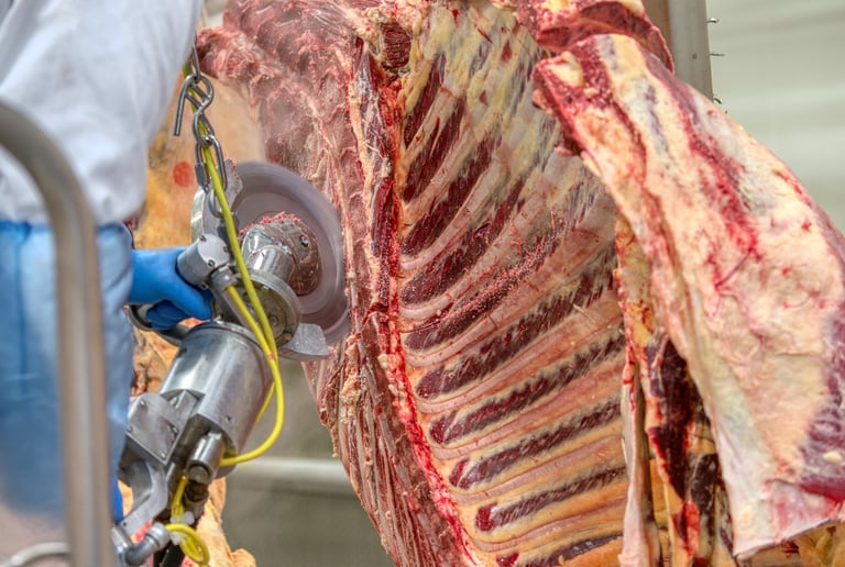 Chopped beef carcasses on overhead conveyor