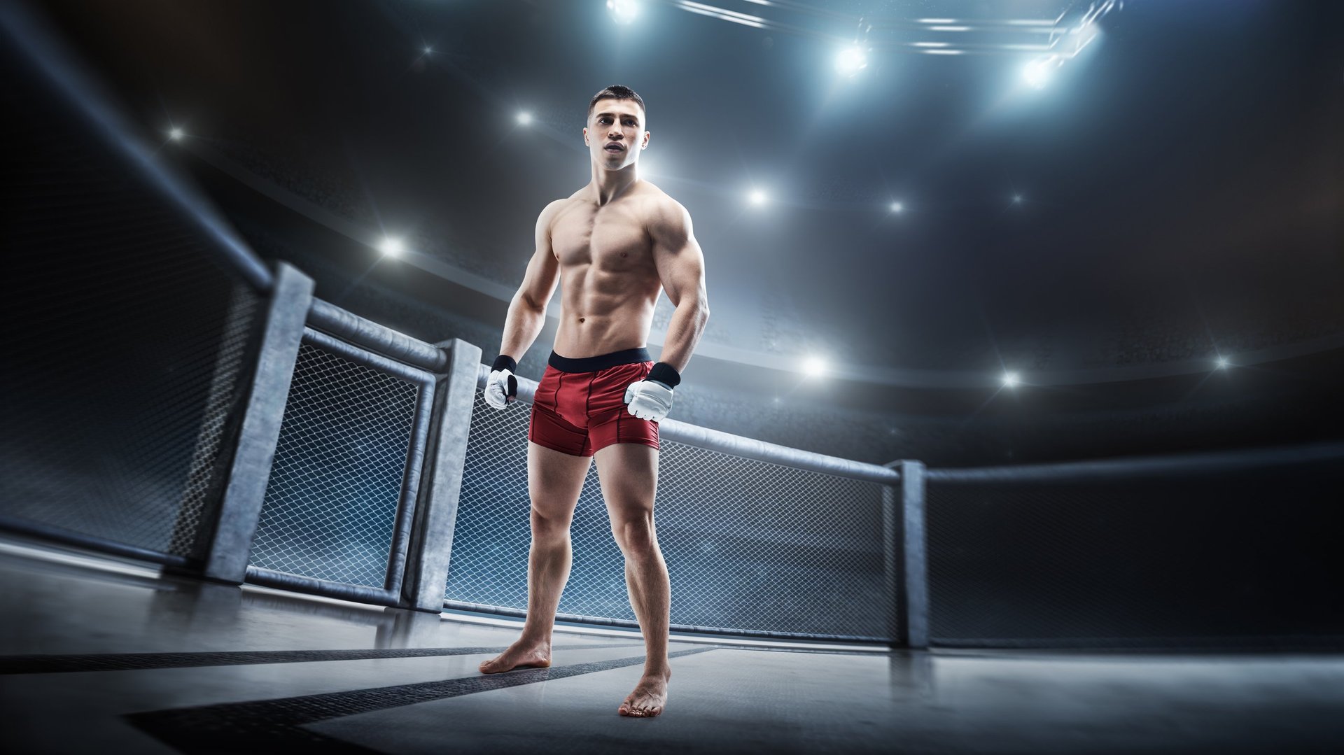 Fighter in the octagon