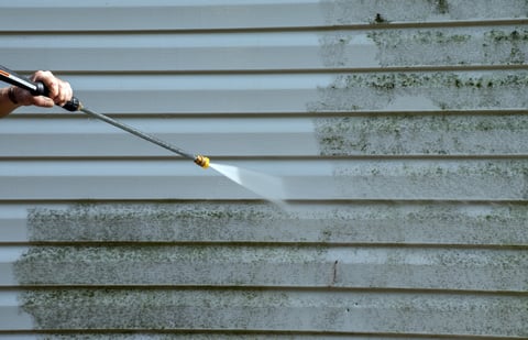 Cleaning mold from vinyl siding on house exterior