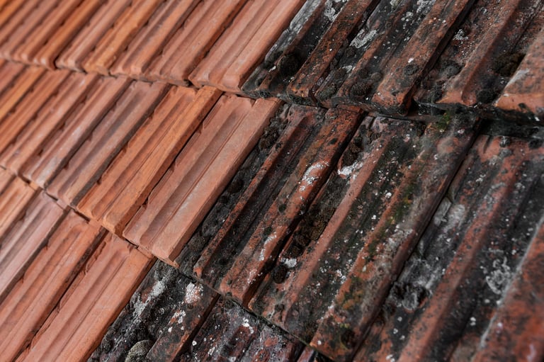Before and after comparison of cleaned and moss-covered roof tiles