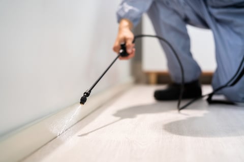 Pest control exterminator spraying for termites