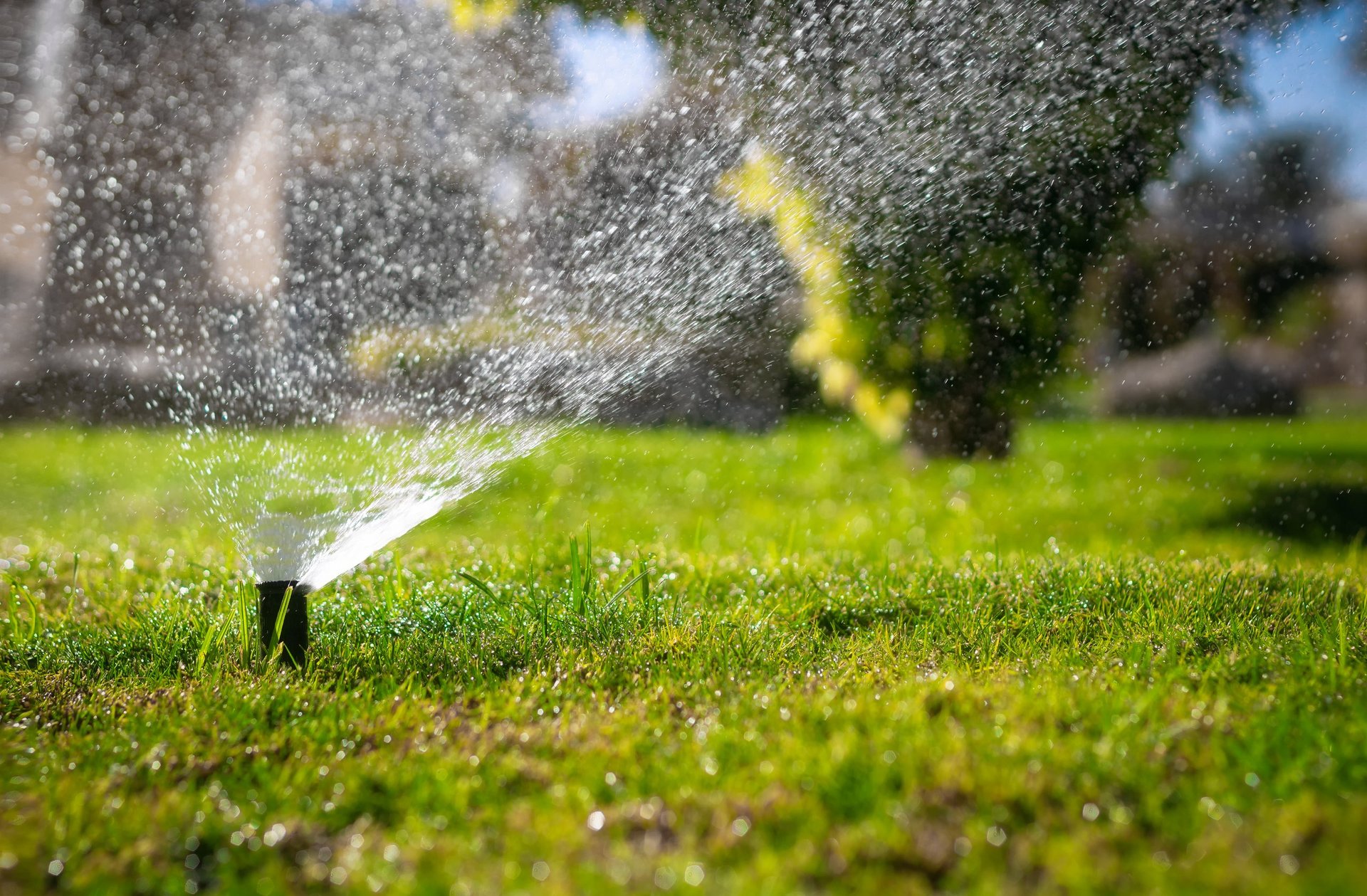 Automatic sprinkler system watering the lawn in a park