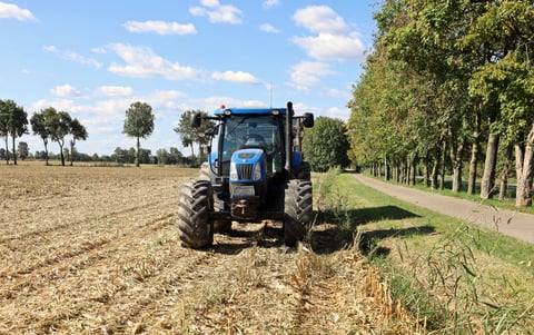 New Holland tractor on maize field