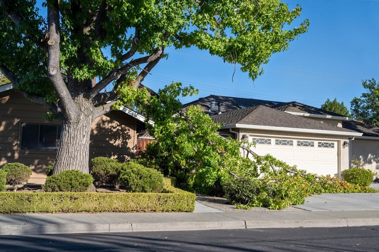 Large fallen tree branch and debris on residential lawn