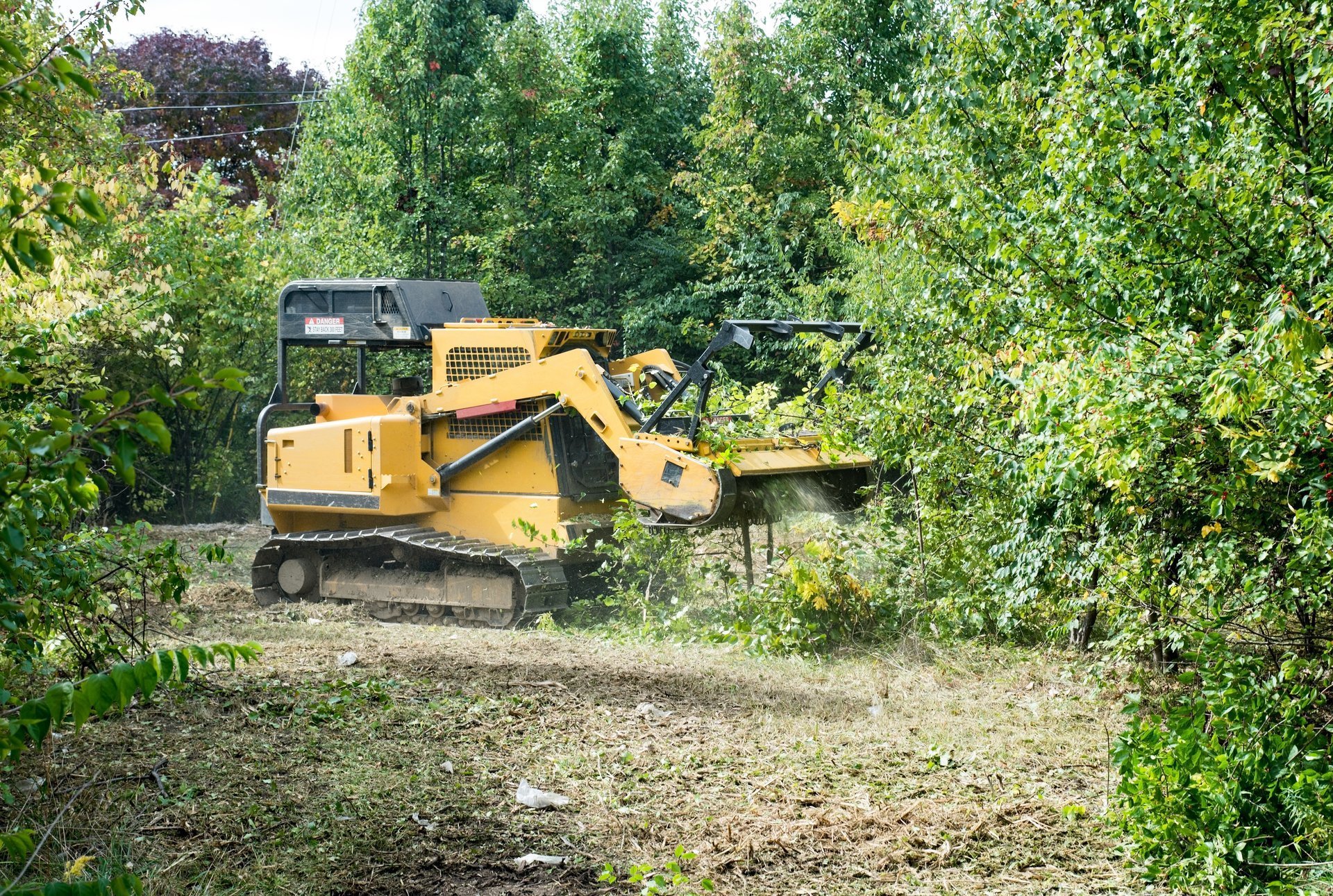 Heavy machinery forestry mulcher clearing trees and underbrush in Illinois