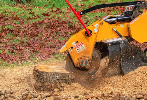 Close up of stump grinding in progress