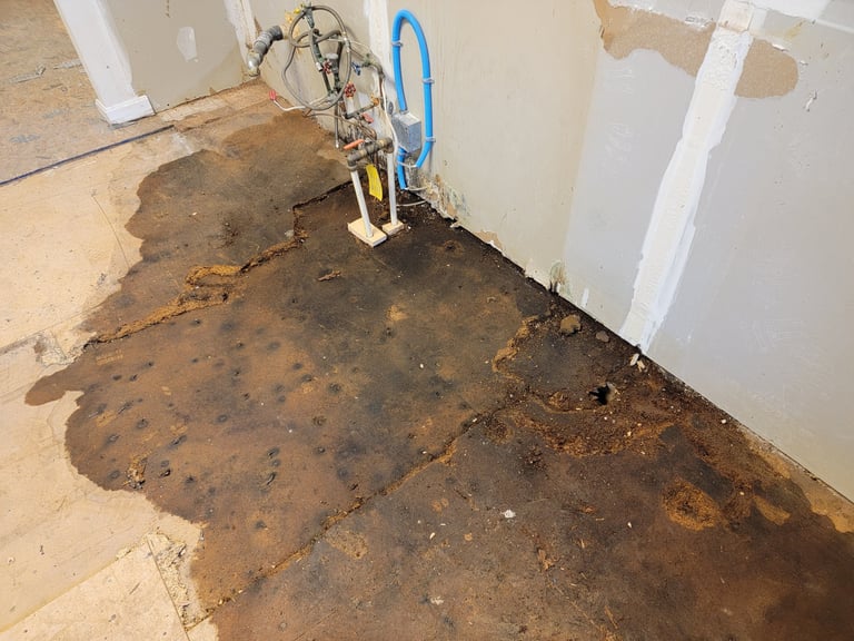 Professional leak detection under kitchen floor