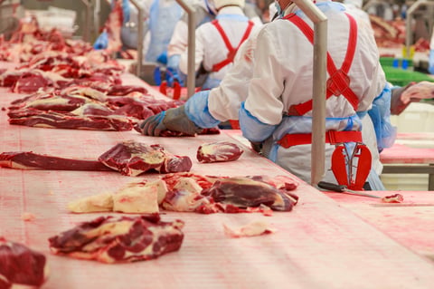 Premium South African beef cuts on processing line