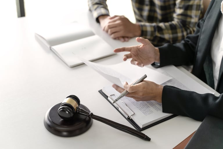 Immigration law consultation