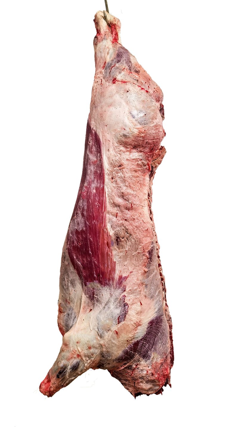 Beef carcass processing for export