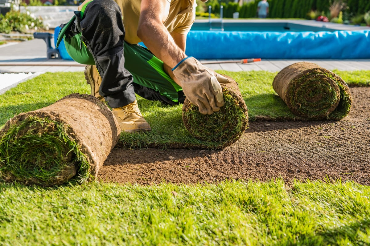 Compact rolls of natural grass turf being installed in a Massachusetts backyard by landscapers