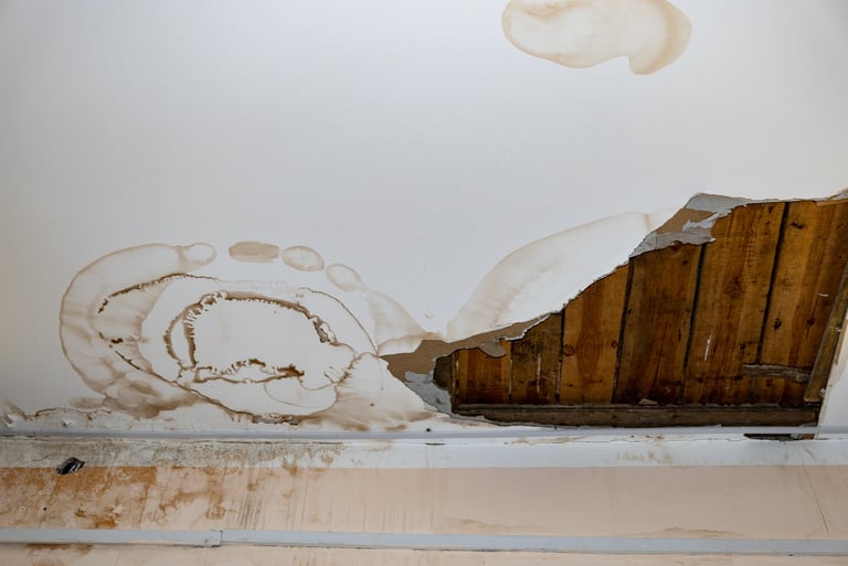 Water damage causing peeling paint and mildew on wall