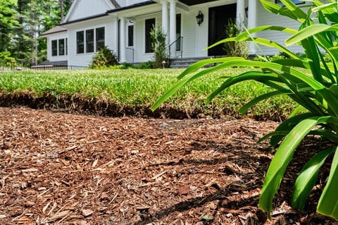 Front garden in suburban home cleaned up in Spring with newly-mulched flower beds and mowed grass
