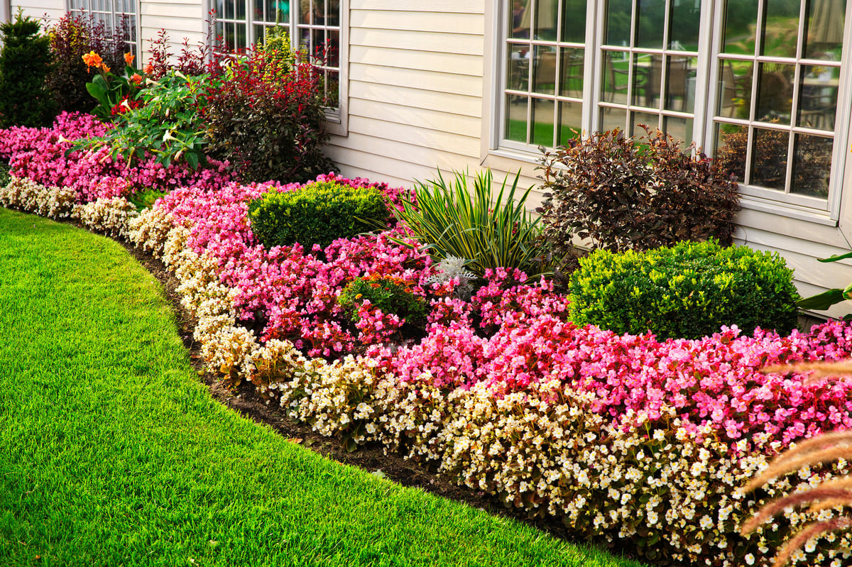 Ottawa property with landscaping and hardscaping compliant with city bylaws — Capital Estate Exteriors