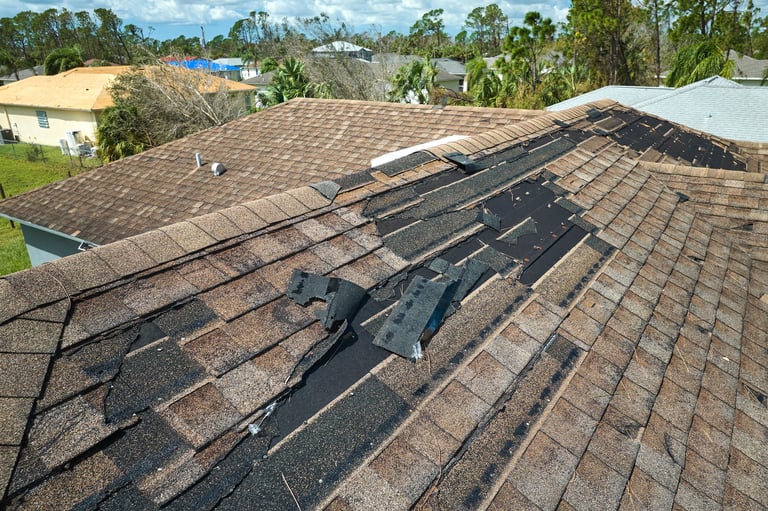 Wind-Damage Repair