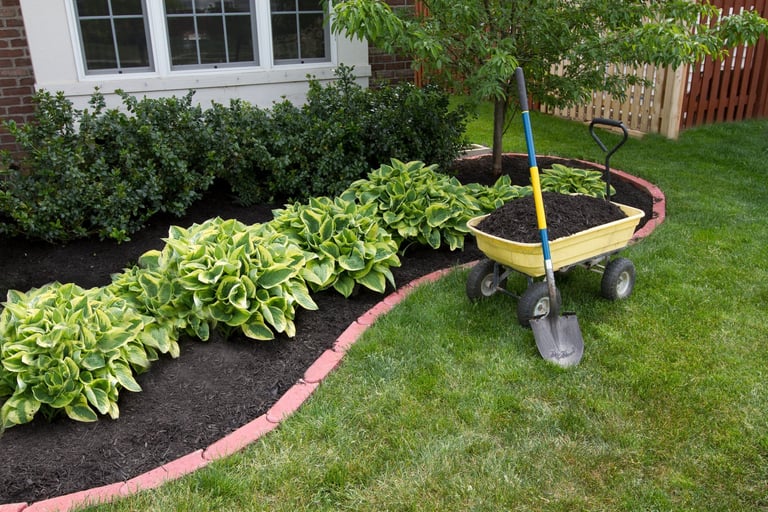 Mulching bed around the house and bushes, wheelbarrow along with a shovel