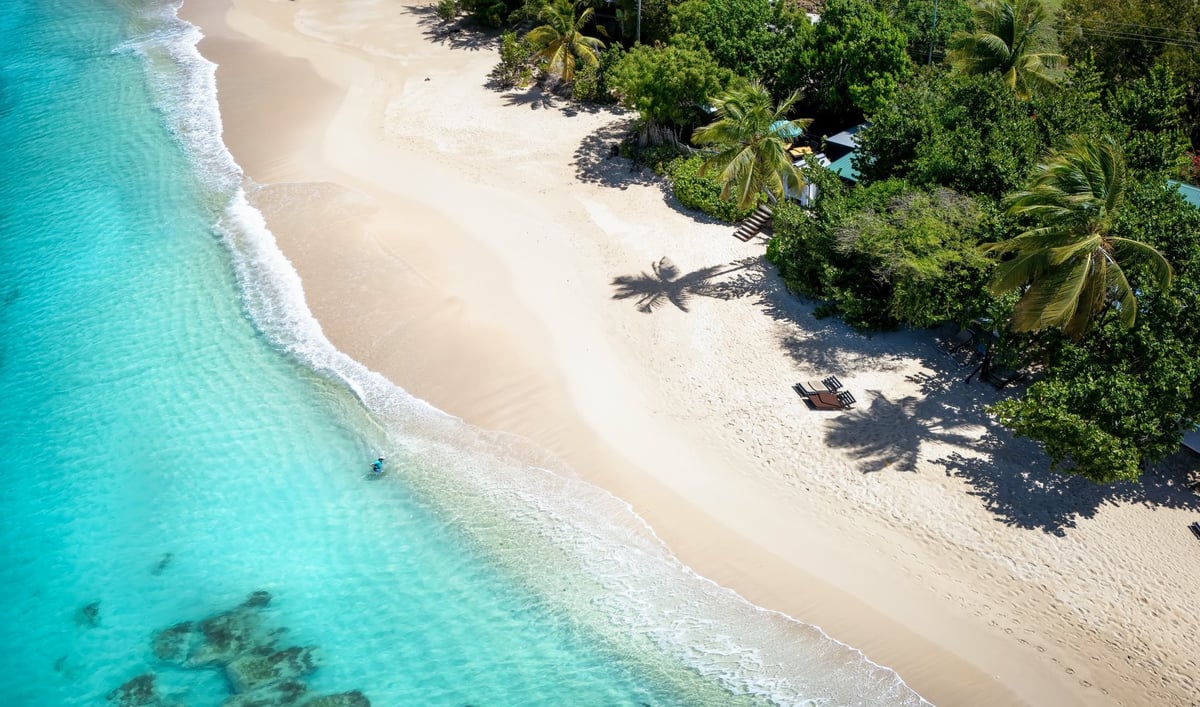 Playa de arena blanca con mar turquesa y palmeras en la Riviera Maya