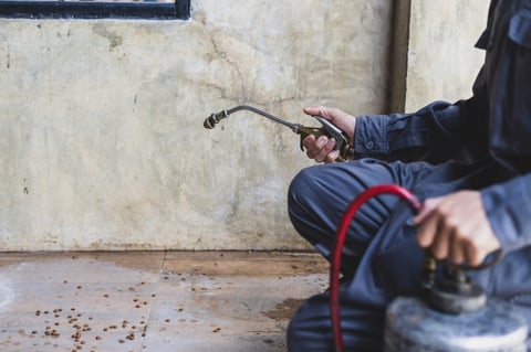 Pest control business marketing and lead generation for exterminators