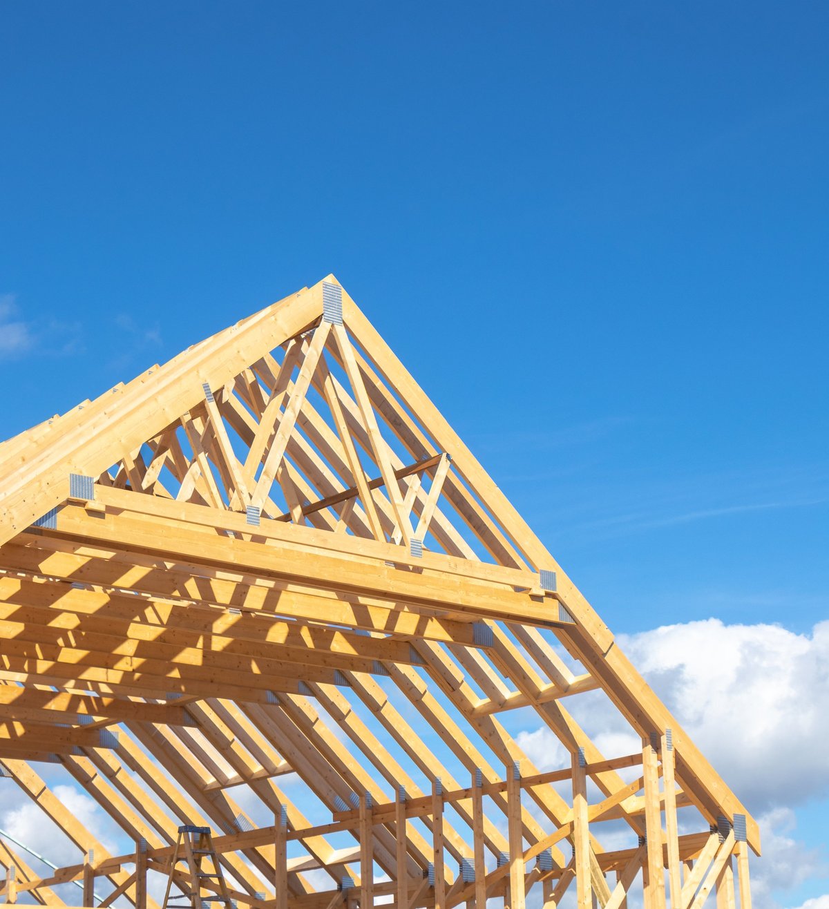 Roof frame construction