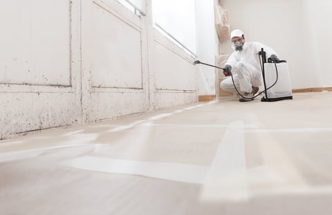 Professional worker spraying products to remove mold