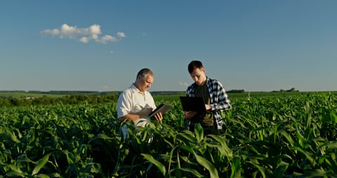 Generational transfer of wisdom and learning