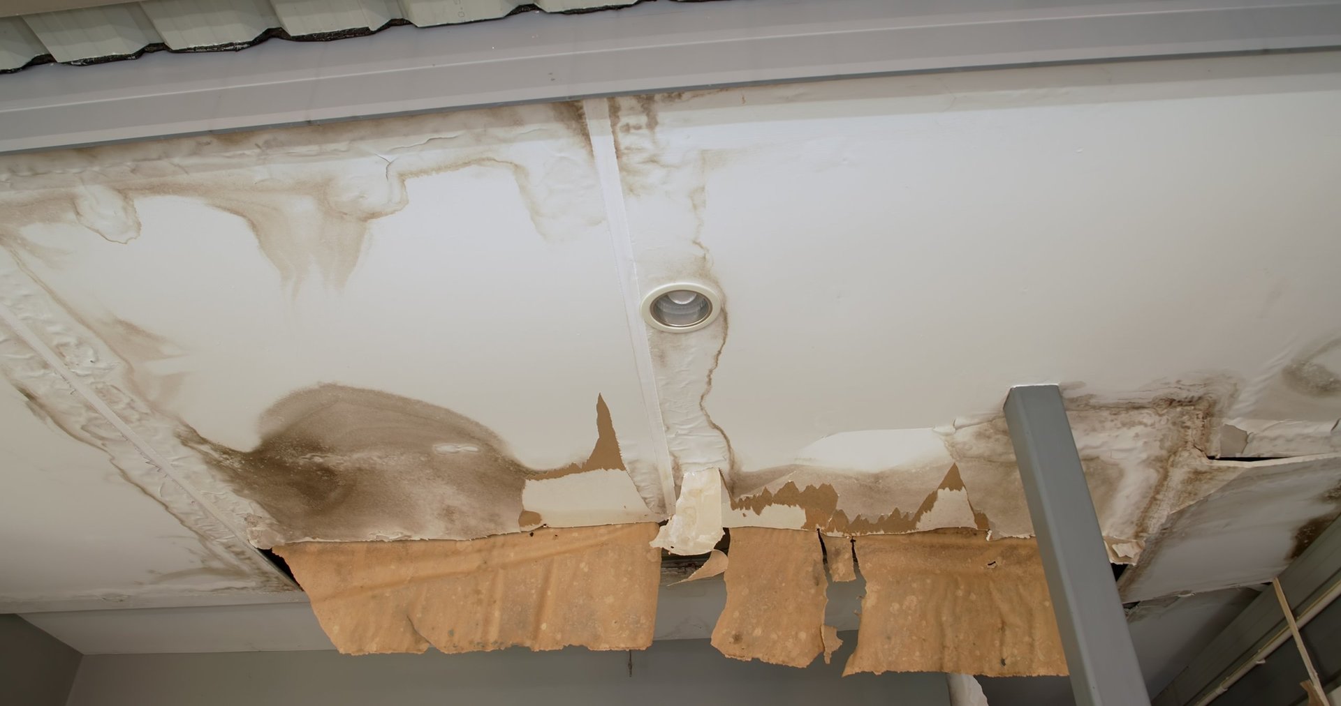 Ceiling panels with visible mold damage from water leaks
