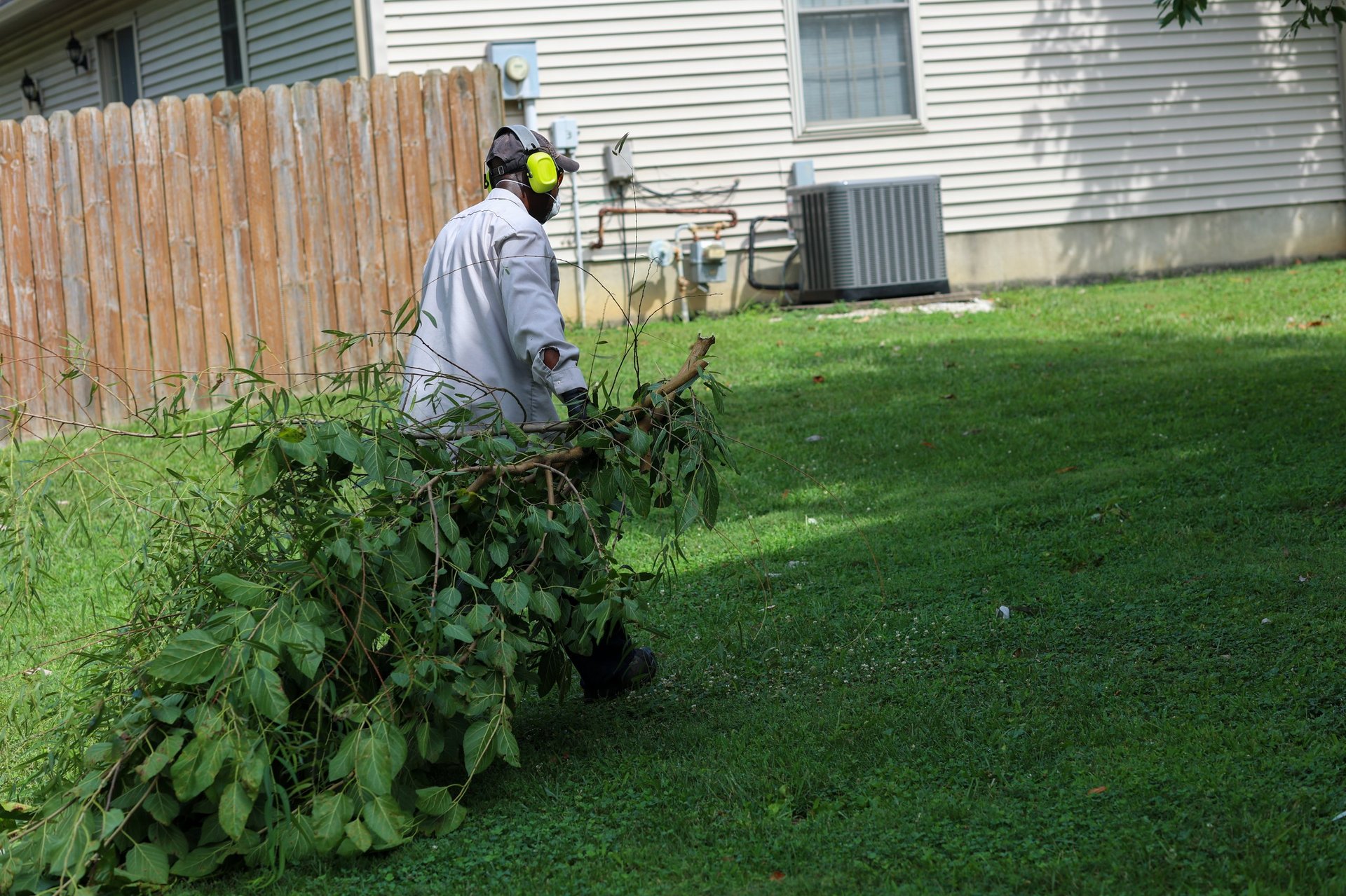 Professional arborist trimming tree branch