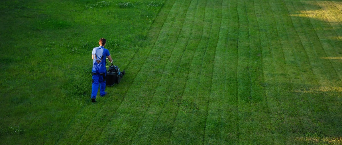 A man in blue work attire mows a large green lawn, viewed from above, creating neat, parallel lines in the grass