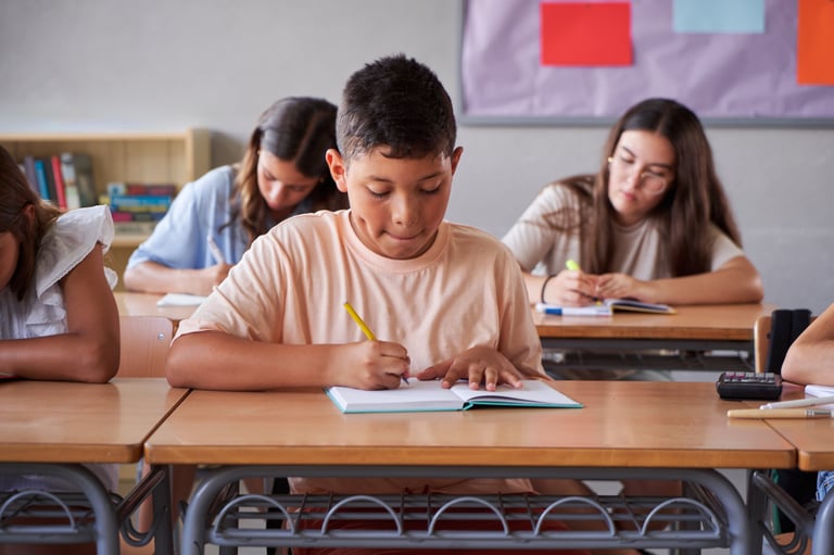 Primary students studying