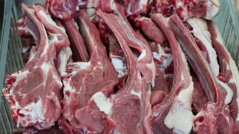 Premium South African lamb cuts neatly arranged