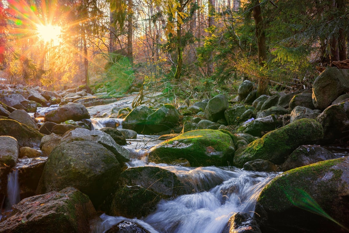 A mountain river flows among large stones, the setting sun creating a bright glare into the camera