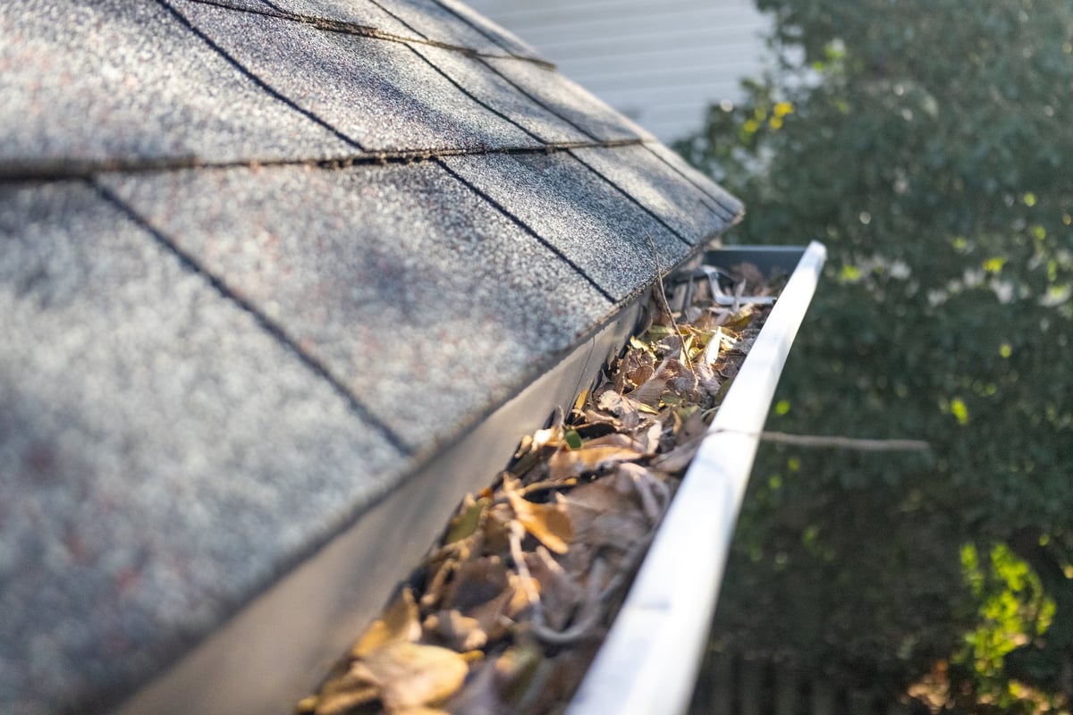 Leaf-filled gutters before professional cleaning