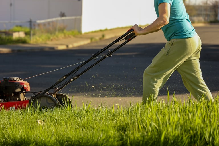 Seasonal Cleanup