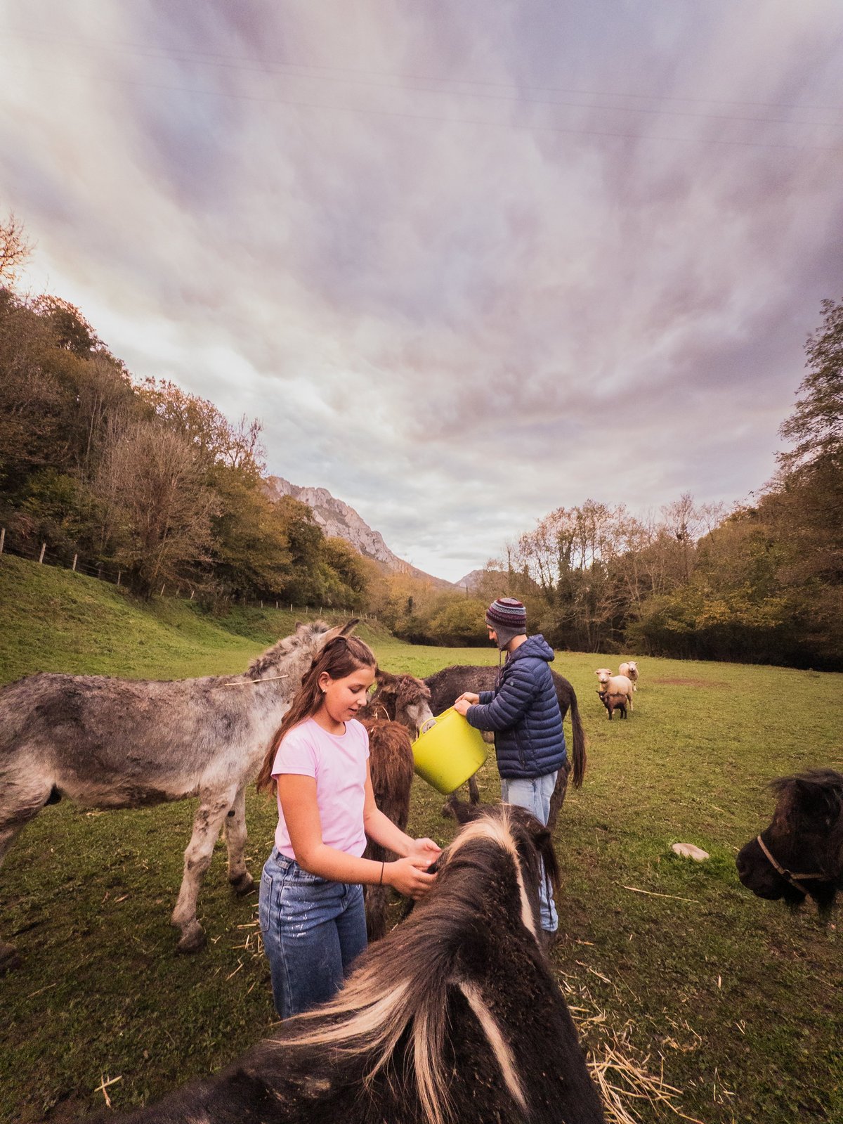 Father and daughter caring for animals at a sanctuary