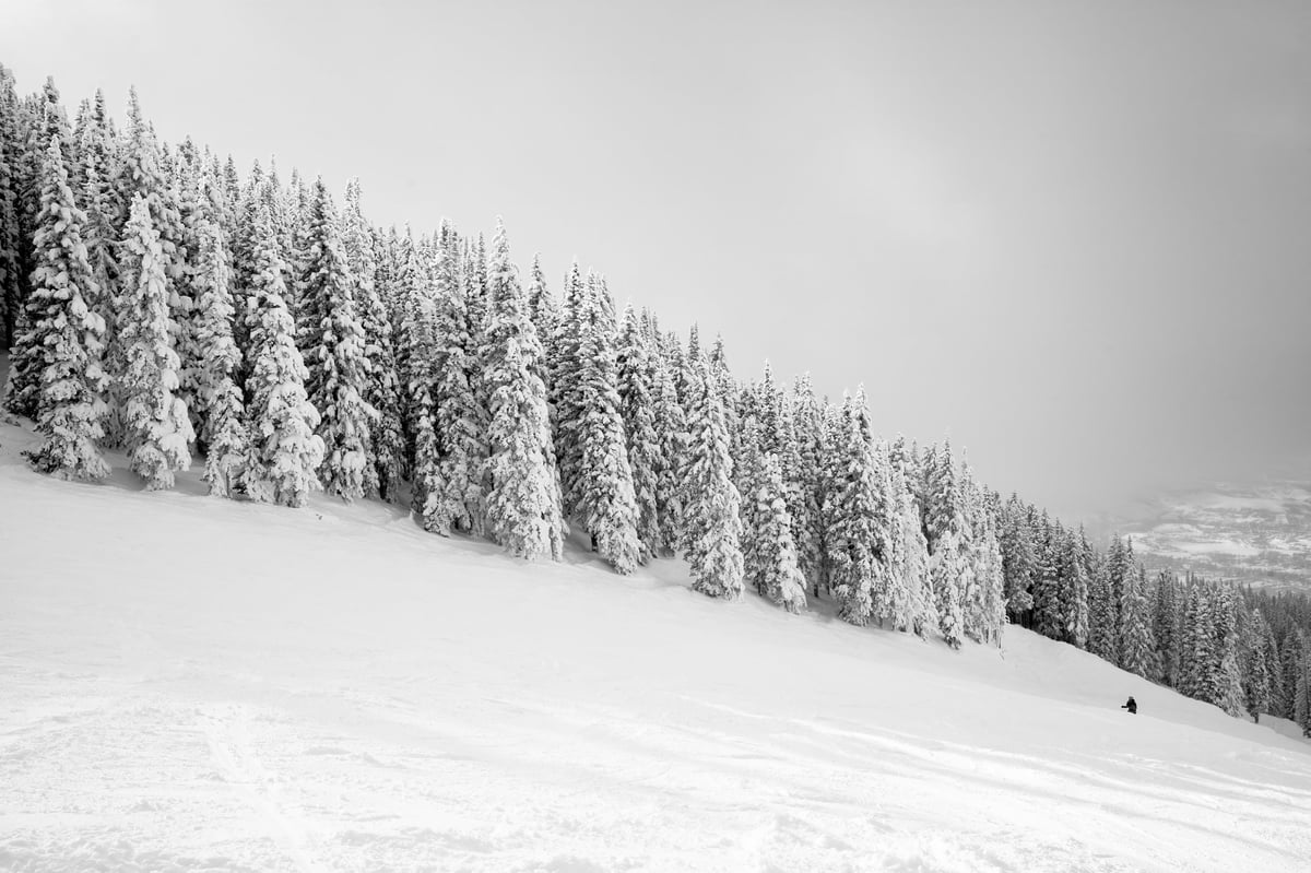 FreeRide Lodge Bakhmaro