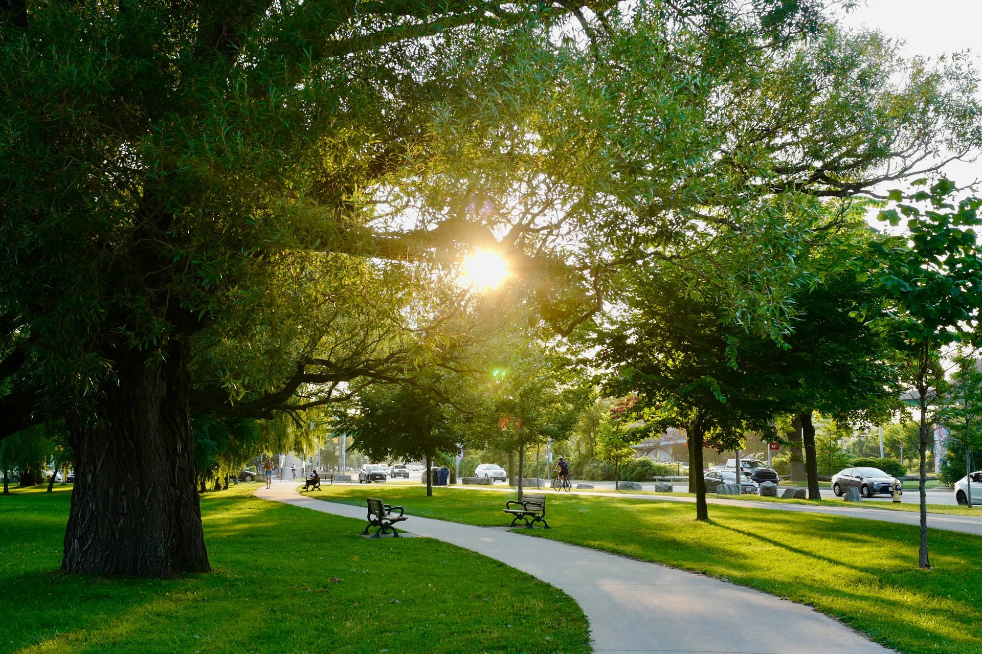 Enchanted park path with dappled sunlight
