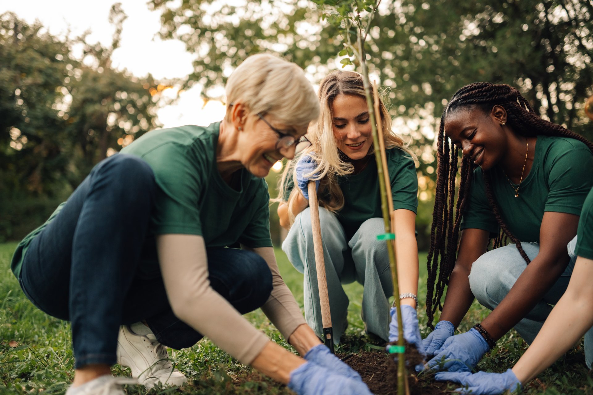 Área de impacto: Medio Ambiente