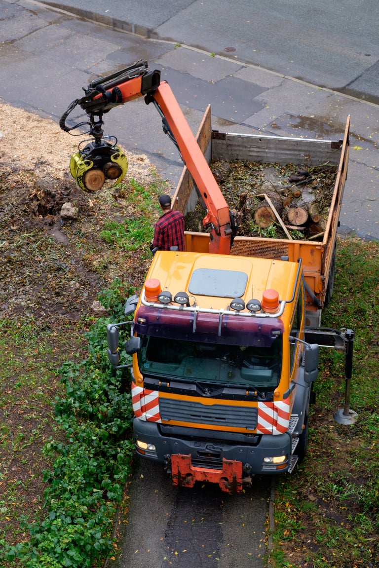 Specialized truck with hydraulic crane removes fallen tree debris
