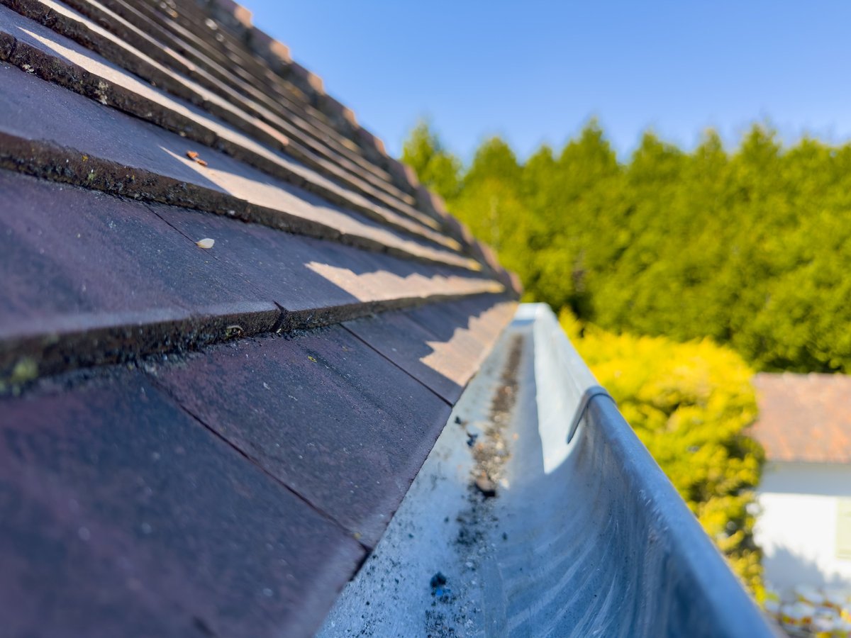 Sunshine bathes the roof and gutters in a warm glow as nature's greenery frames the peaceful setting
