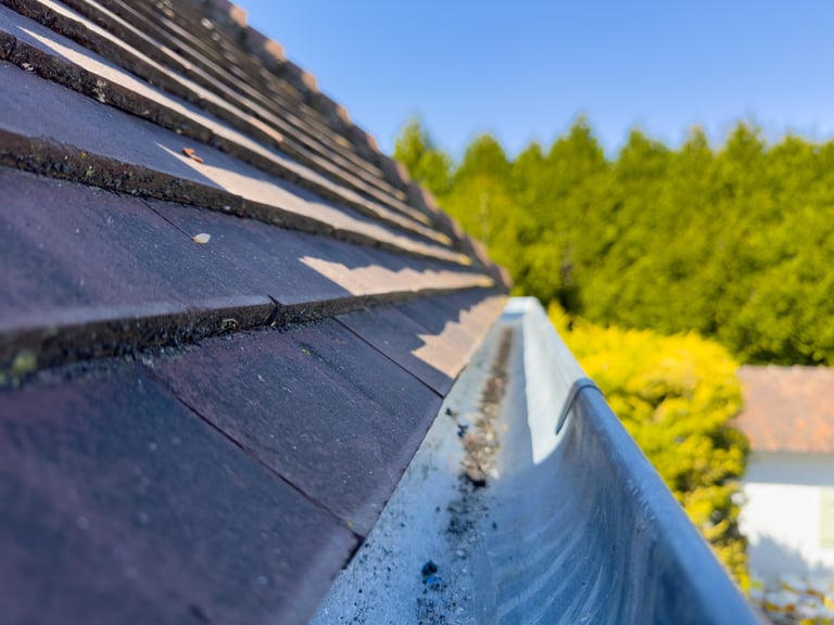 Gutter Detailing