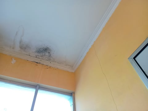 Interior wall showing moisture and water seepage damage