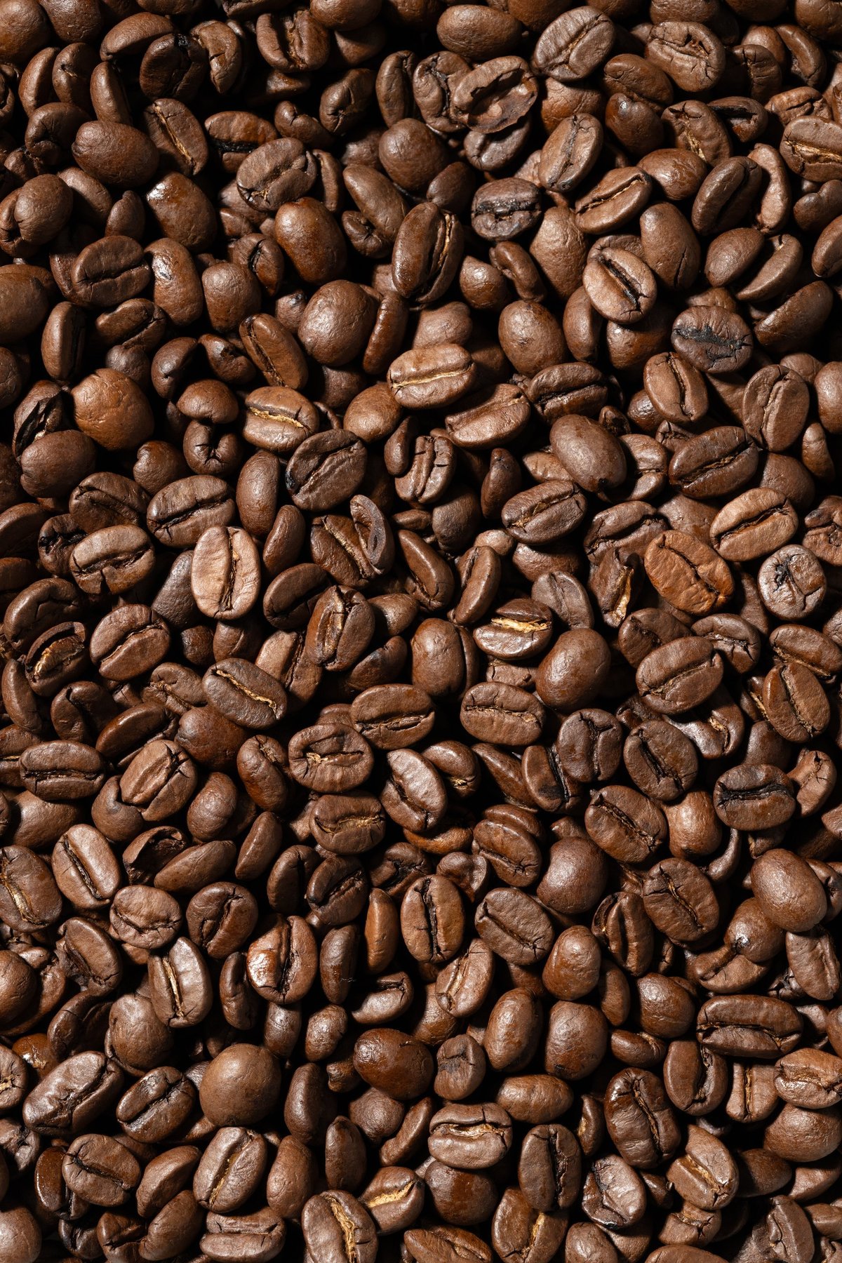 Nahaufnahme glänzender gerösteter Kaffeebohnen