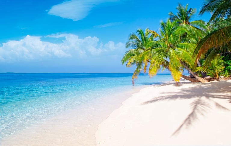 Brilliant turquoise Caribbean sea with palm trees and tropical beach