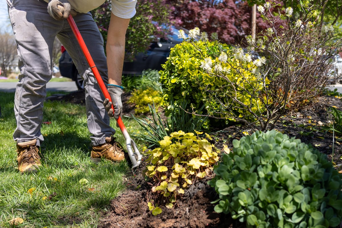Garden Maintenance