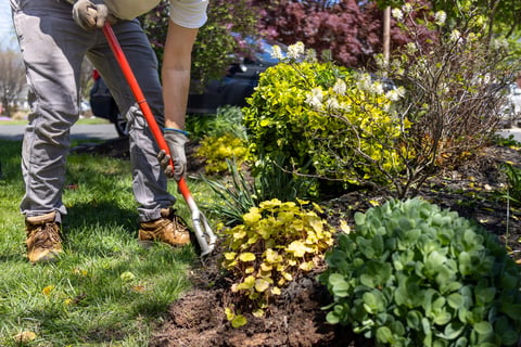 Landscaper edging a flower bed for precise lines